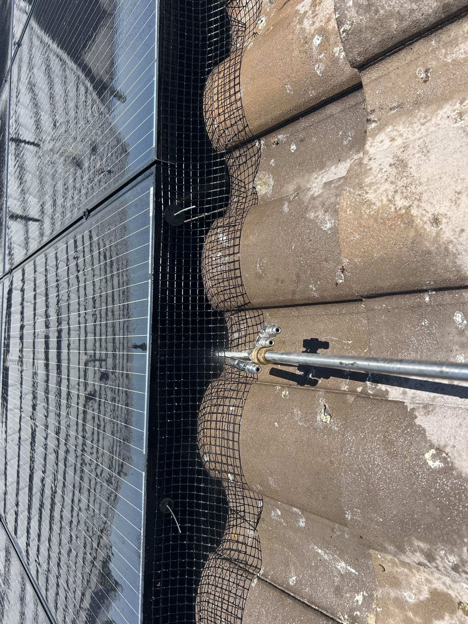 Primer plano de la instalación de malla para aves a lo largo de un techo de teja