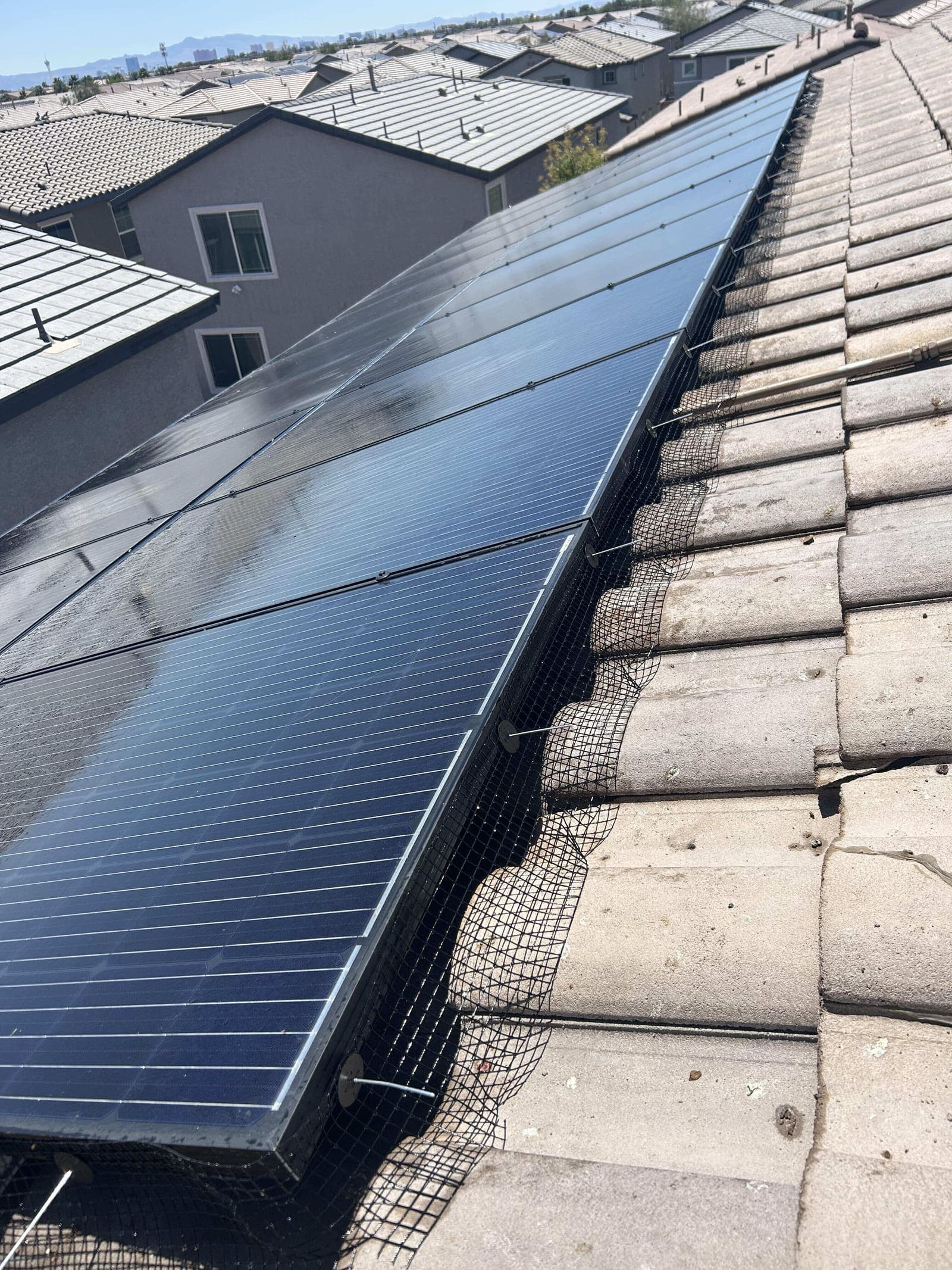 Finished bird mesh installation on a Las Vegas solar array