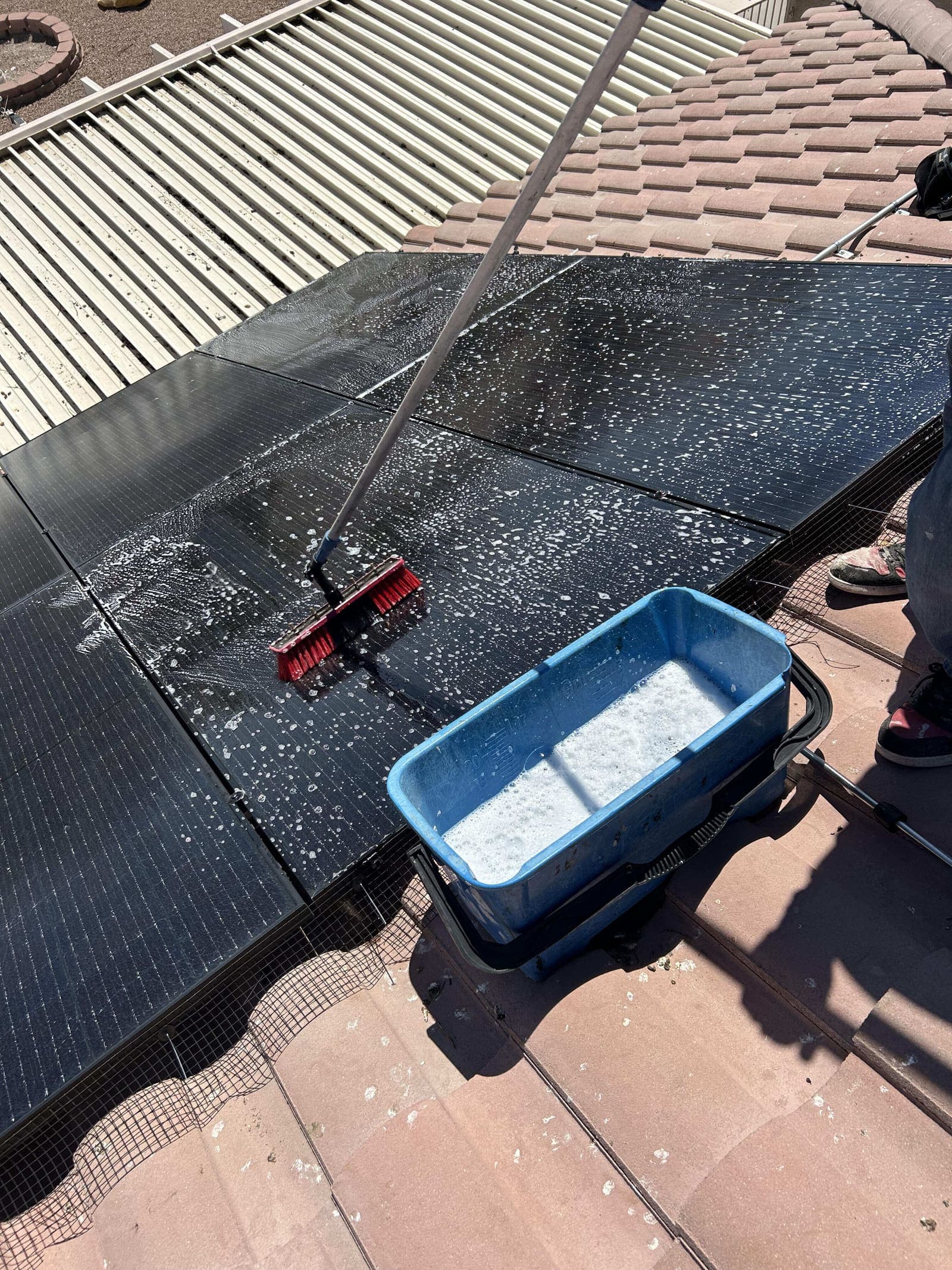 Soft brush and soap bucket cleaning solar panels