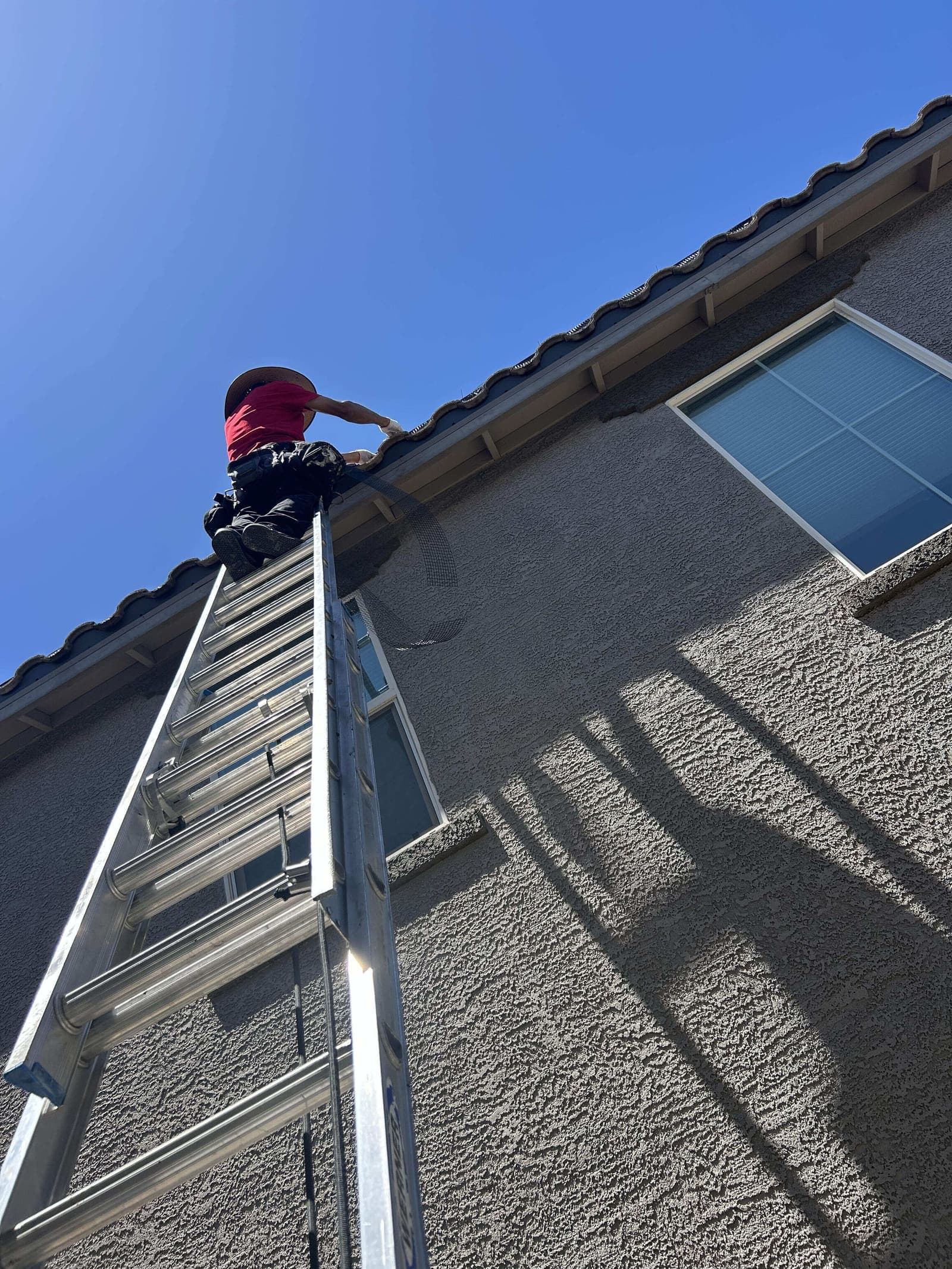 Técnico en una escalera instalando malla para aves en el borde del techo